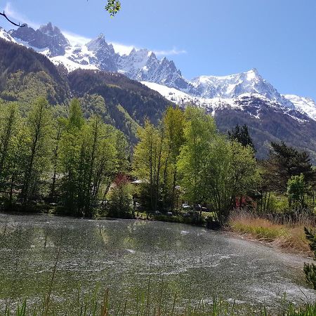 Bel Appartement , Son Jardin Et Le Lac Chamonix Exterior photo