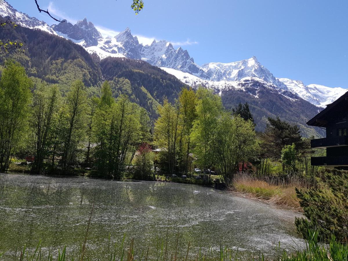 Bel Appartement , Son Jardin Et Le Lac Chamonix Exterior photo