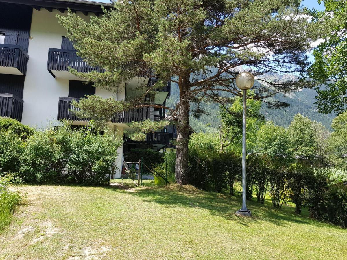 Bel Appartement , Son Jardin Et Le Lac Chamonix Exterior photo