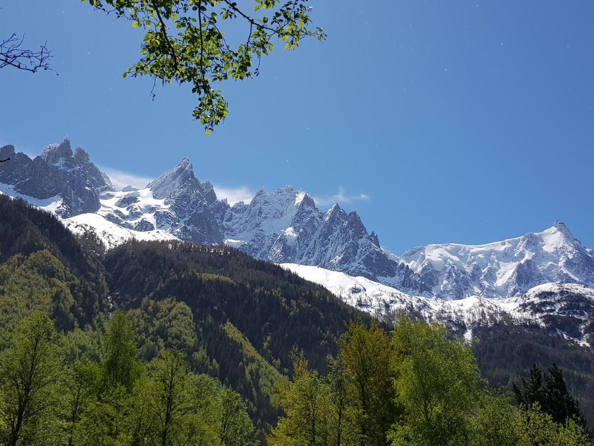 Bel Appartement , Son Jardin Et Le Lac Chamonix Exterior photo