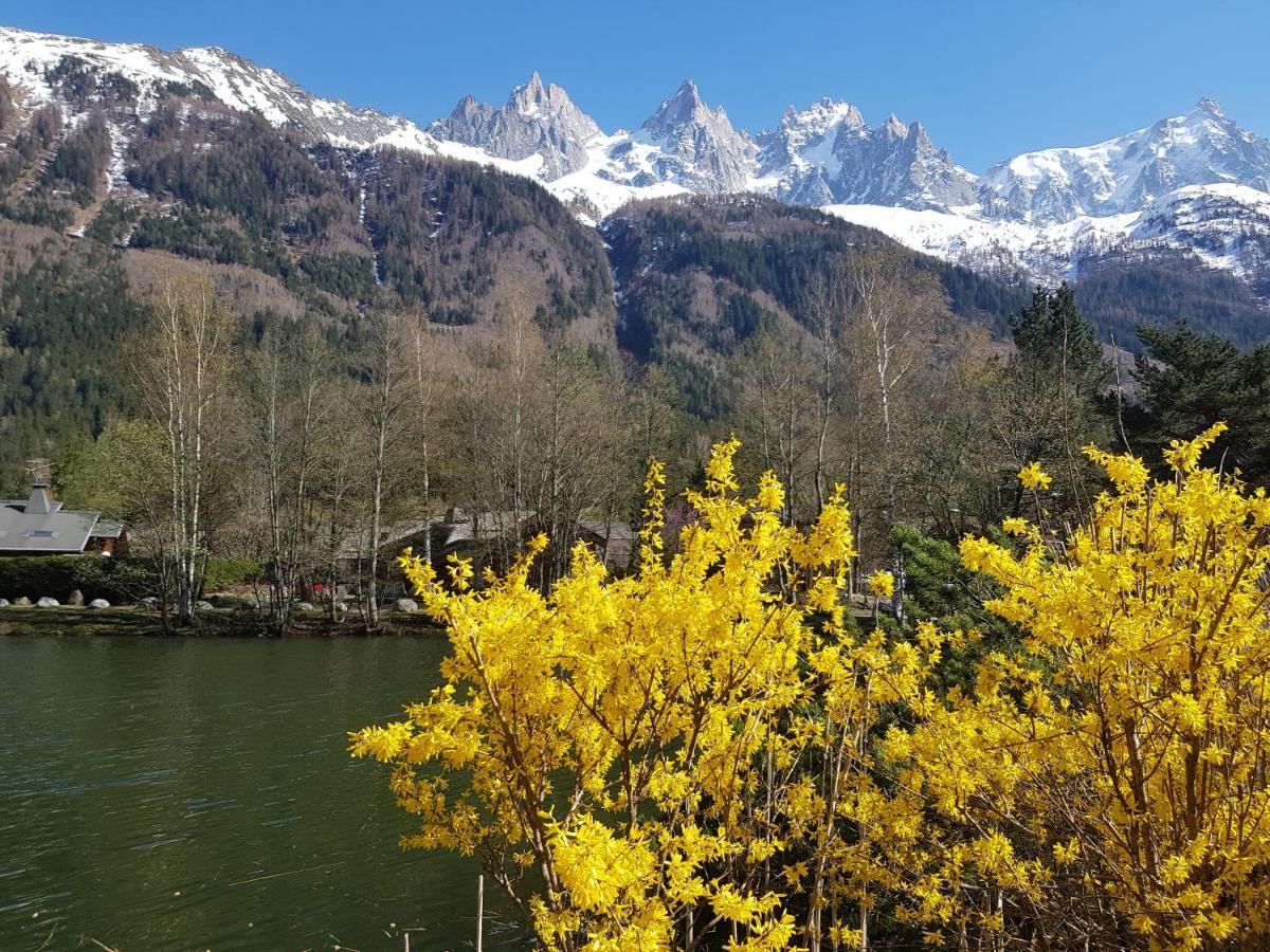 Bel Appartement , Son Jardin Et Le Lac Chamonix Exterior photo