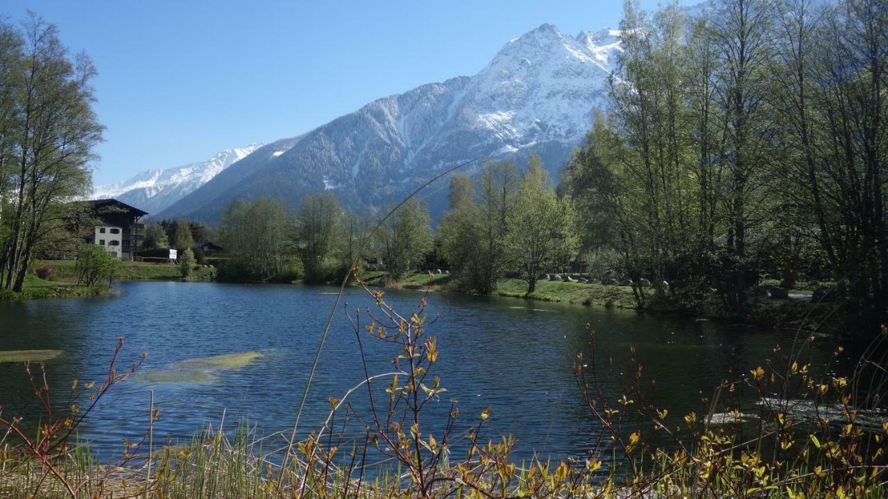 Bel Appartement , Son Jardin Et Le Lac Chamonix Exterior photo