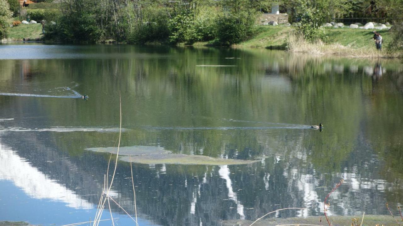 Bel Appartement , Son Jardin Et Le Lac Chamonix Exterior photo